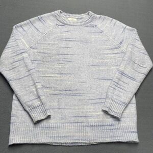 LOFT Outlet Sweater Womens Large Blue Space Dye Stripe Raglan Pullover Knit